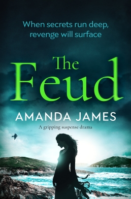 Amanda James - The Feud_cover